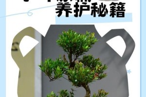 如何科学浇水赤楠（赤楠的浇水技巧及注意事项）
