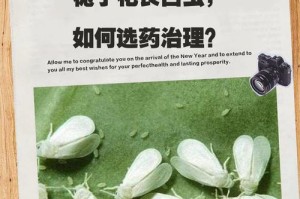 栀子花花蕾长虫子了怎么办？（应对栀子花花蕾长虫子的有效方法）