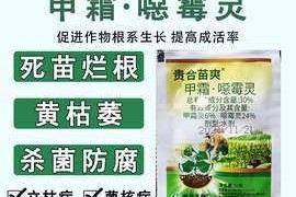 黄瓜钻心虫防治方法（选择合适农药，助力黄瓜生长）