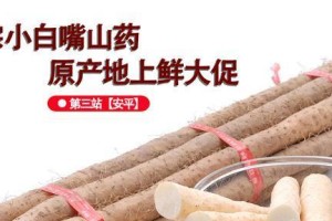 淮山药的产地——探访中国四大淮山药产区（探寻淮山药的故乡、品尝道地美食、了解淮山药种植历史与现状）
