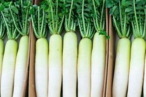 探索萝卜的不同颜色和营养价值（探索萝卜的不同颜色和营养价值）