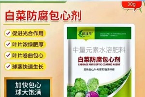 白菜施肥全攻略（科学施肥让白菜更“甜”）