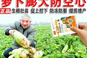 胡萝卜的分类之谜（探究胡萝卜是块根还是块茎）