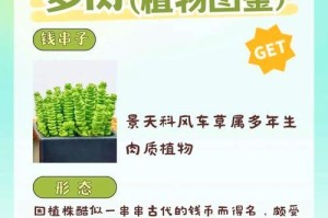 花花叶黄，金钱串子的真相（揭秘以钱串子现象的背后原因与解决之道）