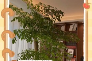 家有暖气，养幸福树的秘诀（打造温暖的家庭环境，让幸福树茁壮成长）