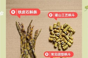 铁皮石斛种植技巧——打造最标准的种植方式（掌握关键步骤，培育健康石斛种苗）