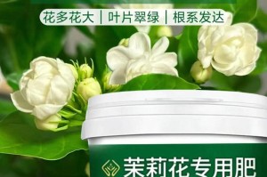 茉莉花生长技巧大揭秘（无肥料情况下如何照顾茉莉花？茉莉花育苗及生长过程详解）