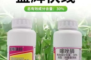 黄瓜高效种植全攻略（打什么农药？长得快产量高？详解！）