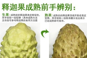 探究番荔枝几年结果实的奥秘（探索番荔枝成果实的周期及条件）