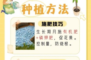 如何养护酸桔子树使其变甜（种植技巧，关键在于肥料的选择与合理施用）