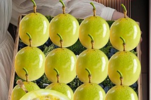 百香果种子是否能食用？（百香果种子的营养价值与食用方式）