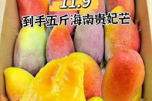 寻找海南芒果的故乡（探访中国最大的芒果产区，品尝最优质的芒果）