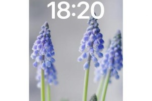 葡萄开花结果的时间与规律（探究葡萄开花结果的关键因素及栽培技巧）