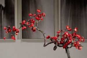 腊梅干枝原因与处理方法（腊梅干枝的成因、干枝的影响及如何处理）
