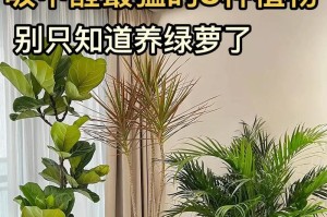 刚种下的绿萝怎么浇水（绿萝浇水的时间、频率、方法）