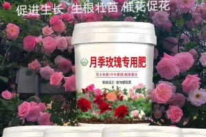 玫瑰花的肥料需求与喜好（让玫瑰花开得更美——肥料施用技巧详解）