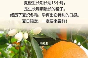 橙子的生长周期是多长时间？（从花期到成熟，揭开橙子生长的奥秘）