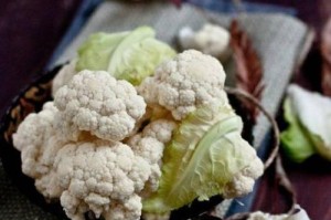 菜花的营养价值与碳水化合物含量分析