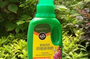 兰花施肥注意事项（选择合适的肥料让兰花更健康）