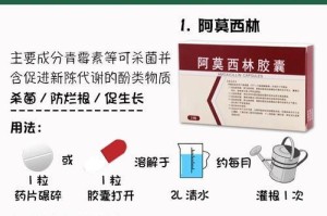 B12肥料的花卉浇灌指南（选择最适合您花园的肥料）