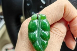 如何解决碧玉叶子发软下垂的问题？（原因分析及科学养护，打造健康生长的翠绿植株）