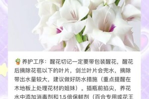 唐菖蒲花的种植与养护（打造美丽花园的秘诀）