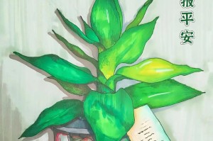以水培观音竹的繁殖方法（简单实用的观音竹水培繁殖技巧）