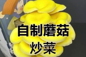蘑菇生长周期全解析（从孢子到成熟的完整过程，你不可不知）
