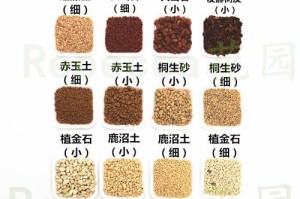 揭秘鹿沼土的性质与特点（探究鹿沼土的酸碱性及适用范围）