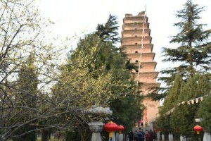 探秦岭花世界之美（追寻花海，尽在秦岭之巅）