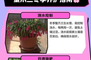 如何有效治疗蟹爪兰上的斑点虫（掌握关键方法，让你的蟹爪兰恢复生机）