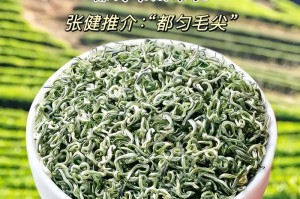 最佳毛尖产地在哪里？（探寻毛尖的家园，品味不一样的茶香）