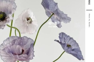 虞美人的养护指南（掌握浇水技巧，让你的虞美人长得更好）