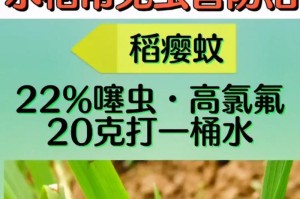 黄瓜钻心虫防治方法（打什么农药好？如何有效预防和治理？）