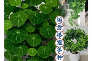 以地不容怎么养（保护土地的关键举措及方法）