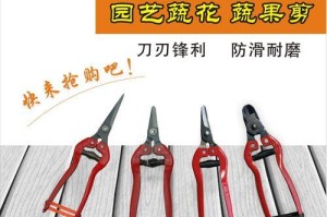 柠檬修剪技巧（打造健康柠檬树的正确方法）