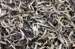 家里种白牡丹，美化生活环境（白牡丹，种植要点与技巧）