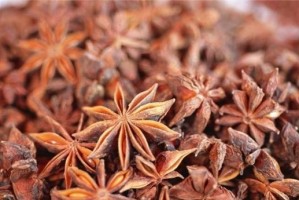 挑选八角，这里最好！（寻找八角之乡，品尝最佳之味）