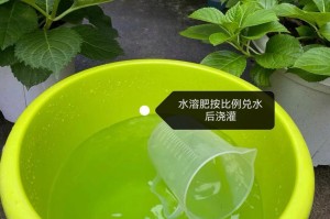 仙客来养殖全攻略（从选择种苗到养护管理，全面了解养殖注意事项）