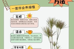 千年木水培与土培，究竟哪种更好？（从生长速度、营养成分、环保性能等方面逐一分析）