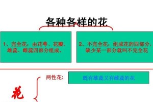 解密桂花性别之谜（从植物学和生理学角度分析桂花的性别特征）