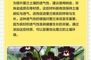 墨兰的正确浇水方法（养护墨兰，从浇水开始）