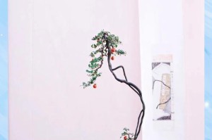 冬季小叶榕树盆景养护指南（打造健康美丽的冬季小叶榕树盆景）