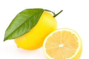 柠檬果实成熟的季节和方法（掌握柠檬成熟时间，享受优质果实）