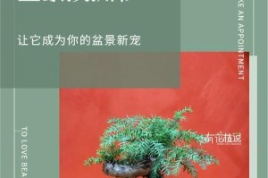 澳洲山的养护与管理（探索澳洲山的魅力与养护要点）
