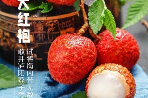 合江荔枝成熟时间及采摘注意事项（享受美味荔枝的诀窍和注意点）