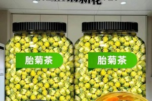 揭秘杭白菊采摘时间（了解杭白菊收获季节，轻松上手采摘技巧）