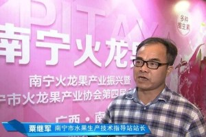 如何管理火龙果树？果期养护技巧大揭秘！（让你的火龙果果实更鲜美丰硕，一次性掌握正确的养护方法！）
