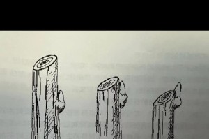 如何正确地修剪铁树？（学会正确的修剪技巧，让铁树更加健康美丽）