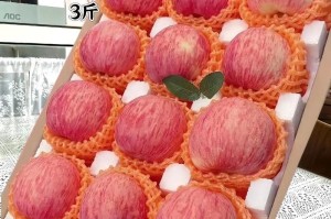 探寻苹果的特产地——关于苹果的来历和地理分布（从古至今，苹果在世界各地都有栖息之地）